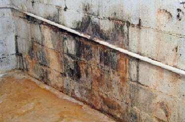 Picture of a basement wall with mold and signs of water damage